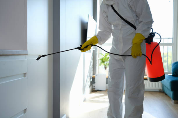 Best Office Mold Removal Services  in Harbor Isle, NY
